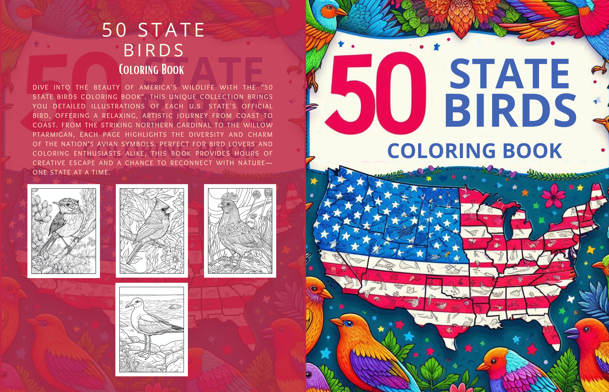 Top 5 Coloring Book Brands in the USA