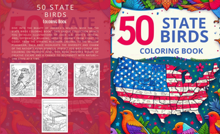 Top 5 Coloring Book Brands in the USA