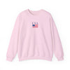 Embroidered American Flag+USA Crewneck