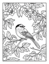 50 State Birds Coloring Book  [EASY] [50+ Designs + Immediate Access!]