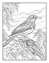 50 State Birds Coloring Book  [EASY] [50+ Designs + Immediate Access!]