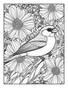 50 State Birds Coloring Book  [EASY] [50+ Designs + Immediate Access!]