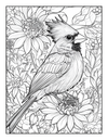 50 State Birds Coloring Book  [EASY] [50+ Designs + Immediate Access!]